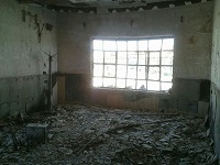 pic1